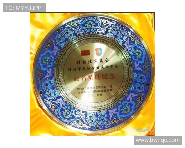 北京网球队实力分析与表现评估探讨及未来发展方向研究MBA